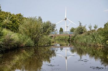 Reflection in the water