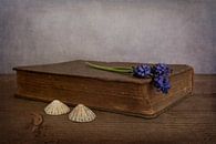 Stilleben mit Buch und blauen Weintrauben von Elly van Veen Miniaturansicht