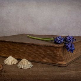 Stilleven met boek en blauwe druifjes van Elly van Veen