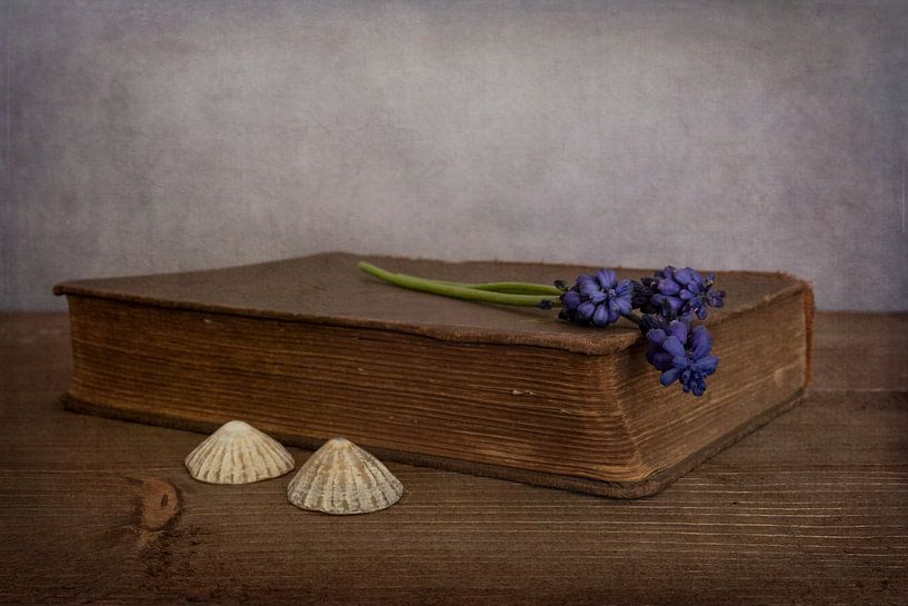 Stilleven met boek en blauwe druifjes van Elly van Veen