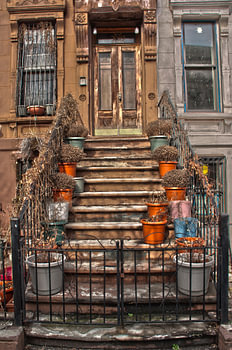 flowers on the stairs