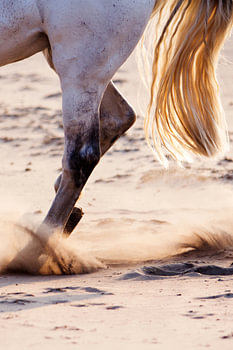Dancing in the sand