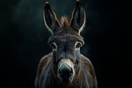 Donkey by Poster Art Shop