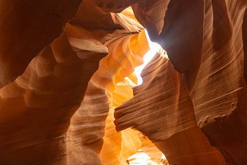 Lion's Head in Antelope Canyon van Reis Genie