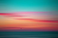Abstract blue hour with a seagull over the North Sea by Yanuschka | Fotografie Noordwijk thumbnail