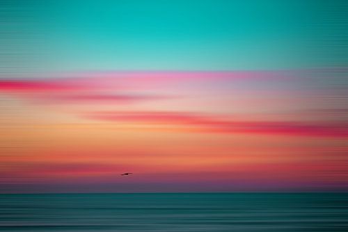 Abstract blauw uur met een zeemeeuw boven de Noordzee