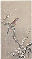 Ohara Koson - Japanse gaasvlieg op een besneeuwde tak (bewerkt)