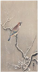 Ohara Koson - Japanischer Seidenschwanz auf verschneitem Ast (bearbeitet)