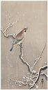 Ohara Koson - Japanese waxwing on a snowy branch (edited) by Peter Balan thumbnail