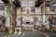 Lost Place - verlaten ketelhuis - de natuur komt terug van Gentleman of Decay thumbnail