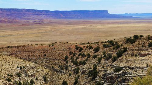 Canyon Look Arizona