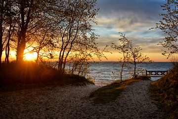 Just listen to the wind van Joachim G. Pinkawa