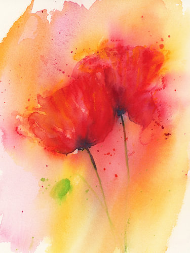 Deux fleurs de pavot d'un rouge éclatant sur Karen Kaspar