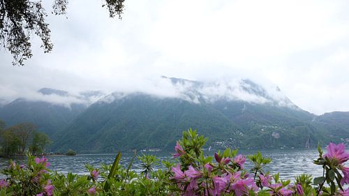  Blossom view of the lake - spring in Minusio 