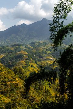 Sa Pa, Vietnam by Patrick Fotografeert
