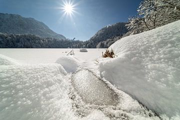 aan de Freibergsee van Walter G. Allgöwer