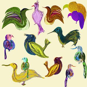 Oiseaux étranges