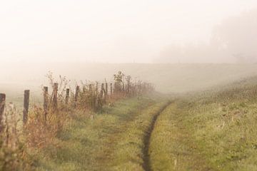 marcher dans le brouillard sur Tania Perneel