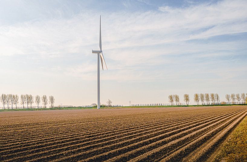 Large field with freshly planted potatoes in long rows by Ruud Morijn