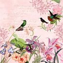 Tropical birds in the pink flower jungle by Floral Abstractions thumbnail