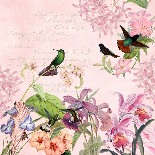 Tropical birds in the pink flower jungle by Floral Abstractions