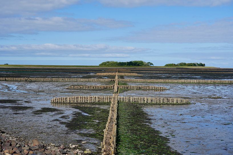 Landgewinnung auf Föhr von HGU Foto