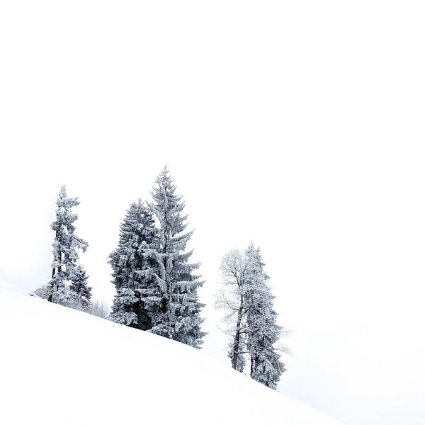 Paysage blanc comme neige en Suisse par Martijn van der Nat