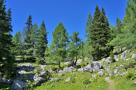 Sentier de randonnée en montagne, à travers forêts et rochers sur Tomherkules