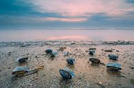 Dutch seascape van Axel Drenth thumbnail