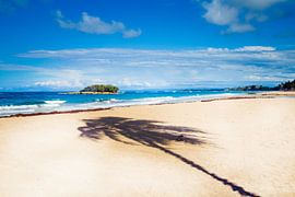 Heerlijk paradijs eiland met je wuivende palmboom. van Tonny Visser-Vink