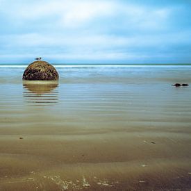 Boulder haven by Robert Moltmaker