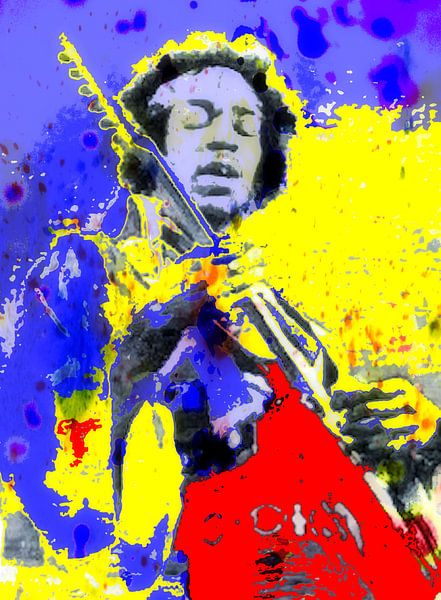Jimi Hendrix van Brian Raggatt