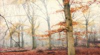 Met de mist achter