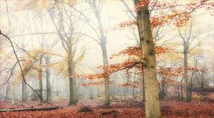 Mit dem Nebel dahinter
