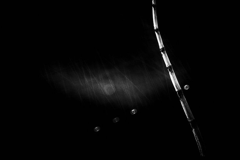 Zwart/wit.  by Cor Pot