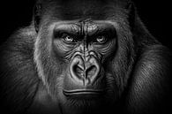 Portrait de singe en noir et blanc par Digitale Schilderijen Aperçu