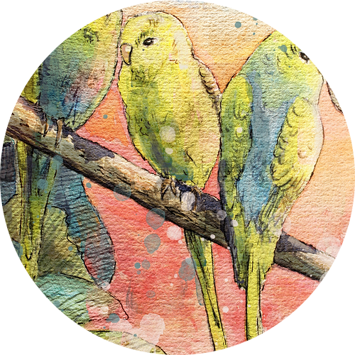 Tropische illustratie - drie parkieten op een tak