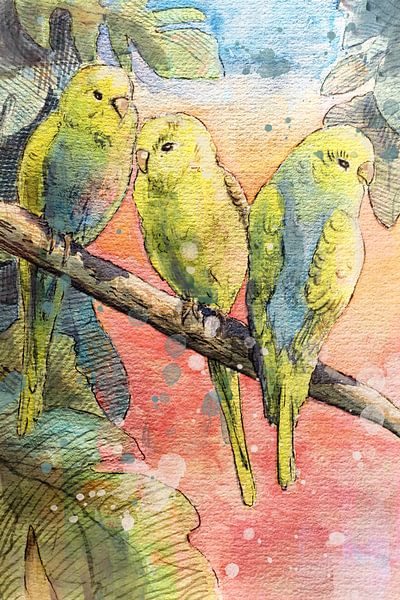 Illustration tropicale - trois perruches sur une branche par Emiel de Lange