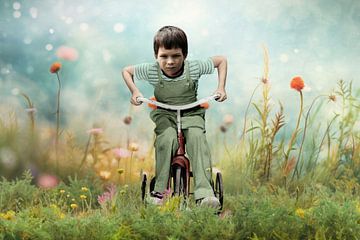 Bike Boy in Fantasyland van Marja van den Hurk