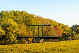 Zugbrücke im Niederländischen Nationalpark De Biesbosch von Ruud Morijn