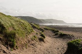 Beach Day by Mich Rosenberger
