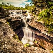 haithem ghenia Profile picture