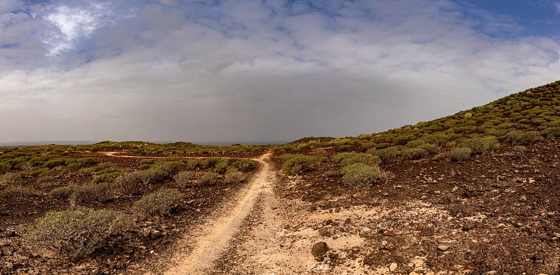 Panorama bij Palm-Mar op Tenerife van Alexander Wolff