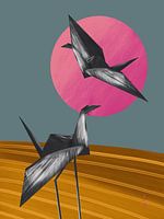 Cranes in the field at night