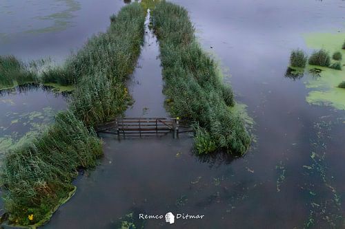 Crystal pool flooded