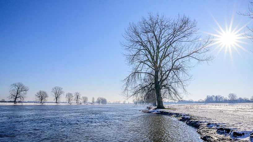 Radiant winter day I by Jan Hoekstra