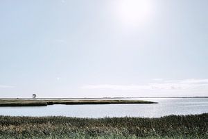 Paysage d'Allemagne du Nord en contre-jour