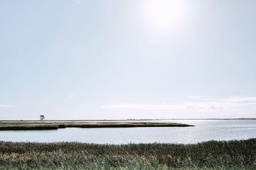 Noord-Duits landschap tegen het licht van Heiko Westphalen