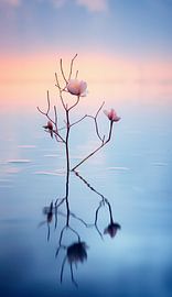 Recreation by the lake