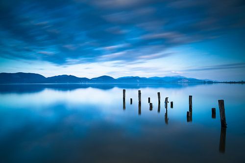 Palen in een blauw meer
